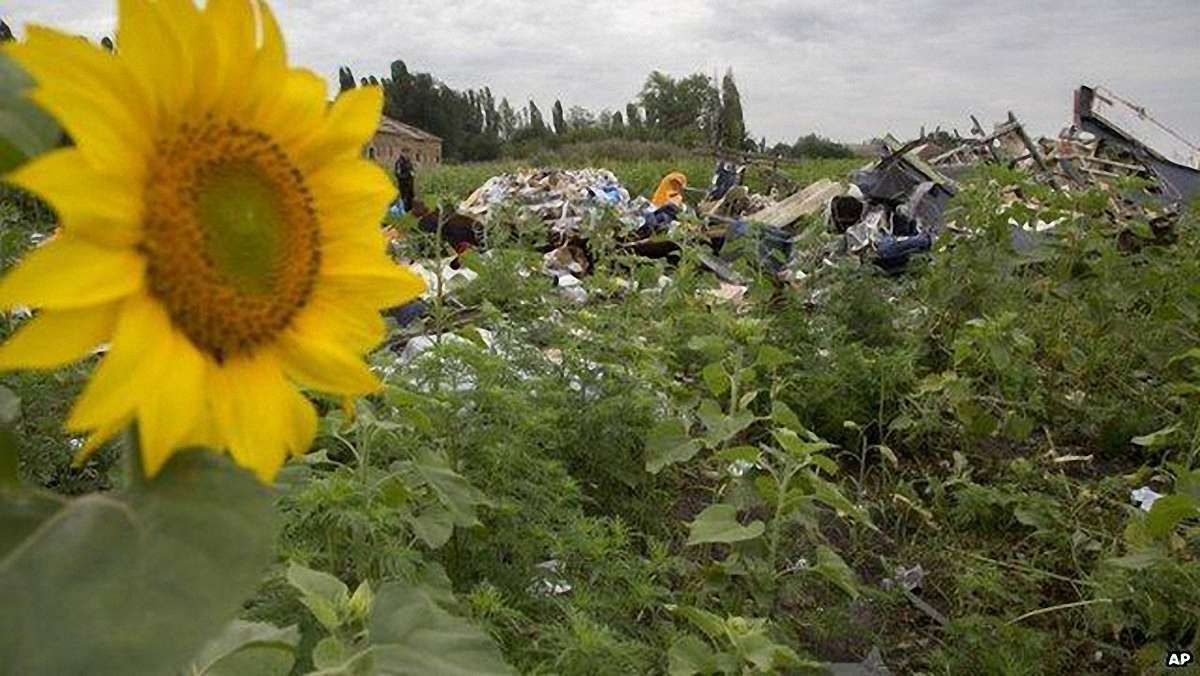 Бойовики перешкоджають роботі спостерігачів ОБСЄ на місці авіакатастрофи, - Боцюрків