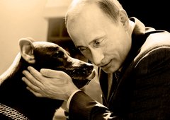 Путінські щурі знову зашурхотіли