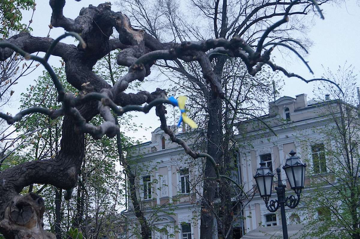 В Одесі пройде фестиваль «Укроп»