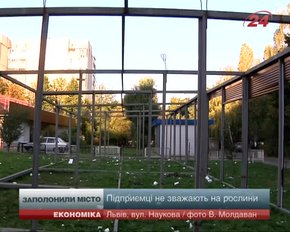 Львів’яни самотужки зносять павільйони