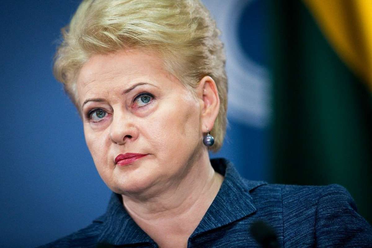 Агресія Путіна проти сусідів є лише першим кроком, аби перекроїти Європу – президент Литви
