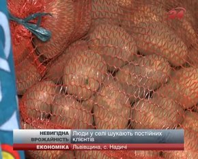 Селяни на Львівщині змушені збувати врожай за низькими цінами