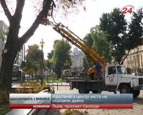 Центральну алею біля львівської опери впорядковують