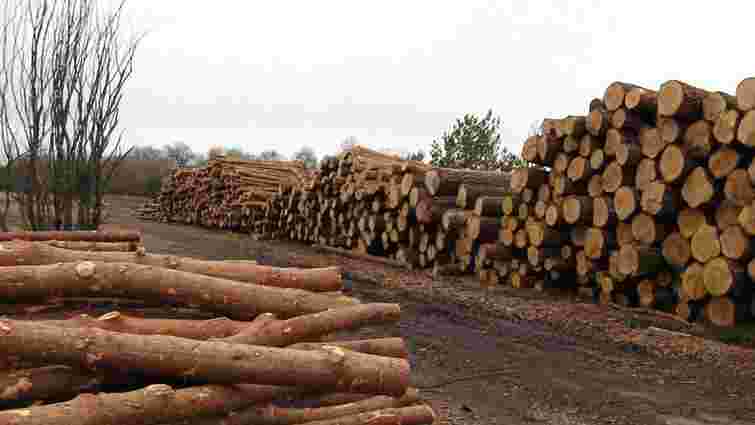 Росія виявила "отруту" в деревині львівської фірми