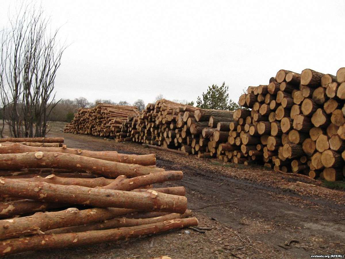 Росія виявила "отруту" в деревині львівської фірми
