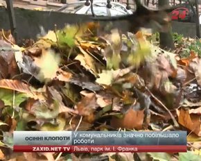 Львів'яни палять опале листя, порушуючи закон
