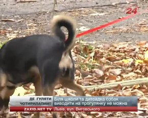У сквері на Виговського хулігани позривали таблички з інформацією щодо вигулу собак