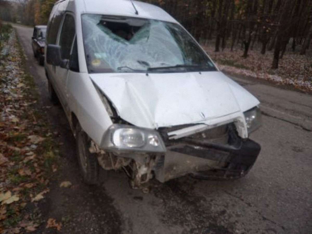 На Львівщині 20-річний водій збив на смерть дідуся-велосипедиста і втік