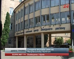 На Львівщині укус змії поклав військового у реанімацію