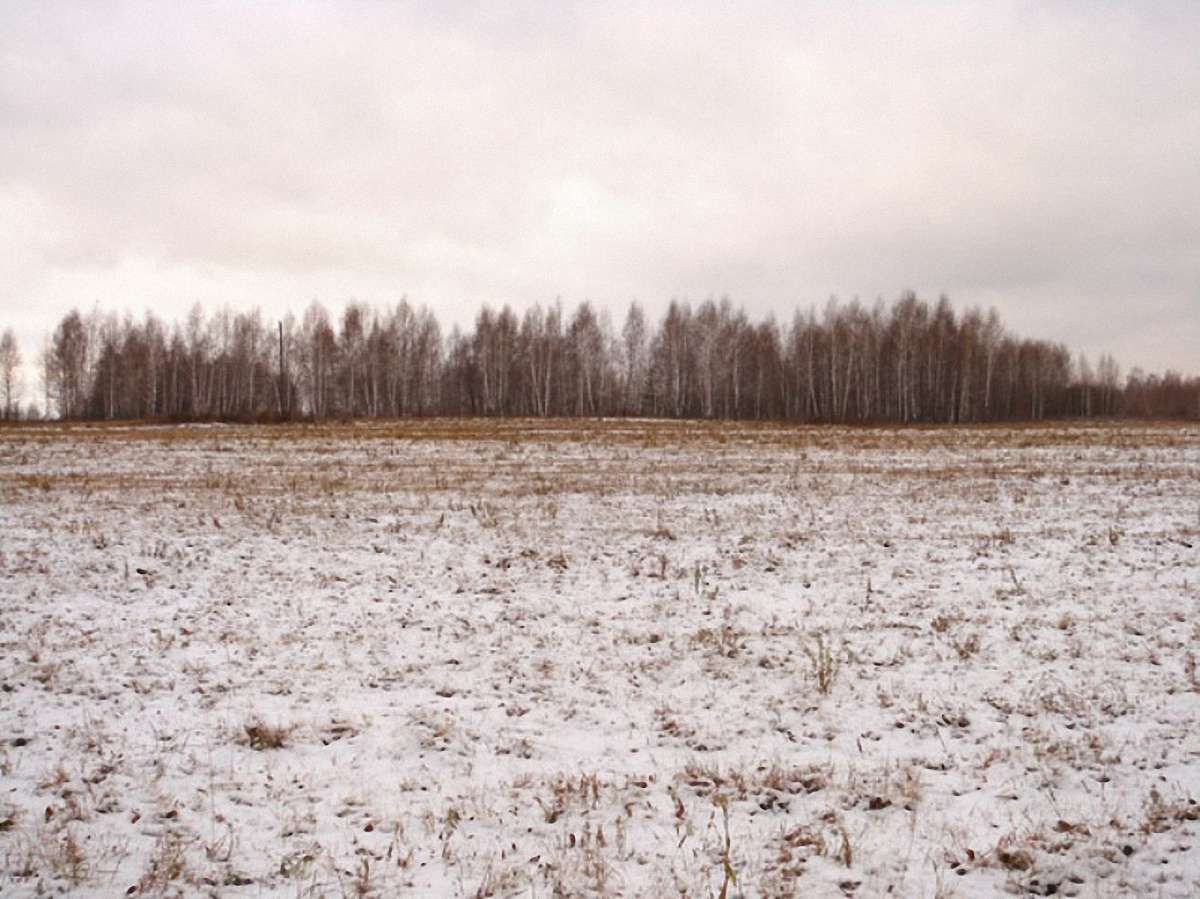 У російському Алтаї запроваджено надзвичайний стан через неврожаї