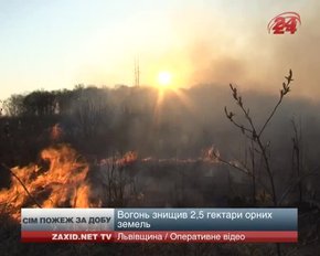 На Львівщині сталося сім пожеж за добу: горів торф і трава