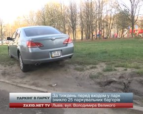 У парку "Горіховий гай" львів'яни "облаштували" паркінг