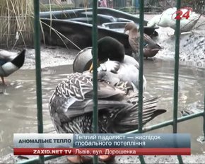 У Львові ще з 1946 року не було такого теплого листопада