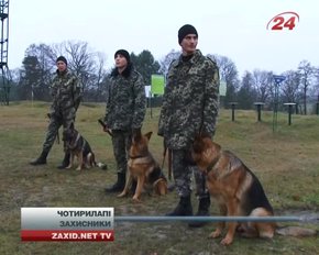 За два місяці кінологи Львівщини підготували 70 собак у зону АТО