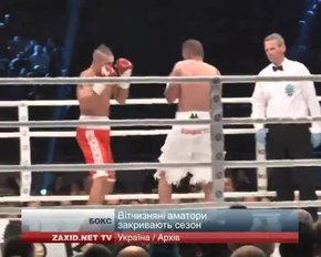 Львівські боксери закрили змагальний рік
