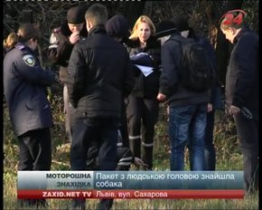 Голова, знайдена на майданчику, могла належати особі чоловічої статі
