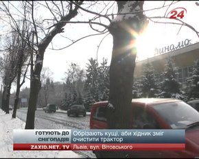 Львівські парки готують до зими