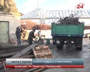 Волонтери привели до ладу комунальне підприємство "Лев"