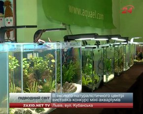 У Львові відкрили п’яту виставку міні-акваріумів