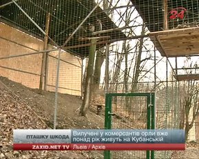 Суд у справі вилучених у комерсантів червонокнижних орлів перенесли