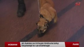 До Львова на лікування і відпочинок приїхали бійці, які вирвалися з Дебальцевого