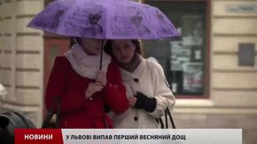 У Львові випав перший весняний дощ