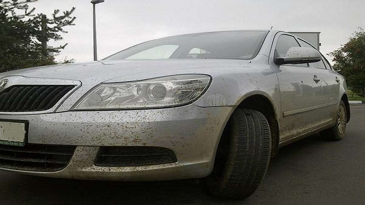 П’яна жінка з двома дітьми у салоні автомобіля скоїла ДТП у Львові 