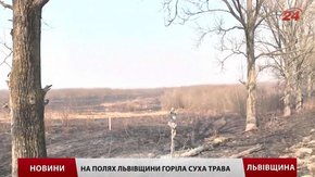 За паління сухостою на Львівщині оштрафували 15 людей за два місяці