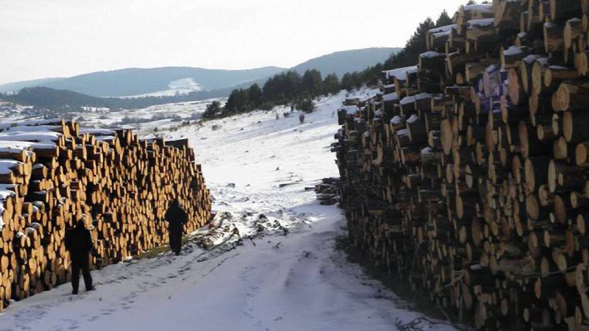 Депутат облради Ситник обіцяє зменшити зарплати керівництву «Галсільлісу»  