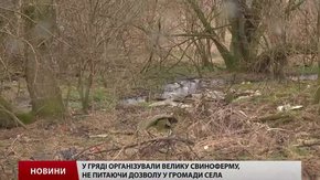 Власники свиноферми під Львовом судяться за землю для бійців АТО