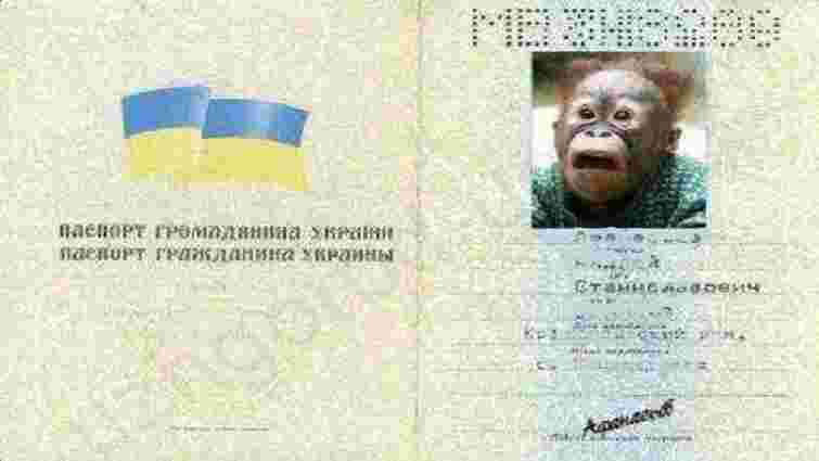 Львів’янин з підробленим паспортом набрав кредитів на побутову техніку на понад ₴50 тис. 