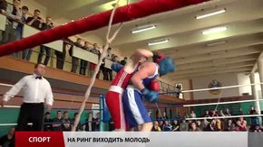 Завершується першість області з боксу