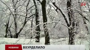 Головні новини Львова за 03.04