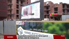 Будівельна компанія MS пересаджує дерева, аби не знищити їх під час будівництва