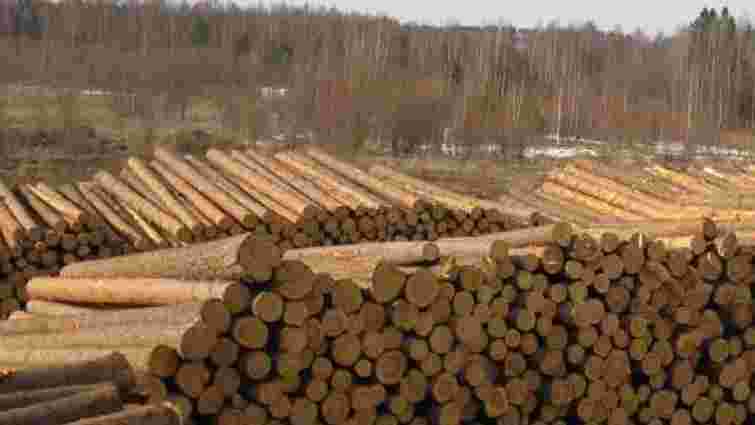 Верховна Рада ввела мораторій на експорт необробленої деревини