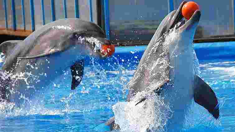 В Україні заборонили пересувні зоопарки та дельфінарії без природної морської води
