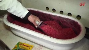 Львівські комунальники попередили про загальноміську дератизацію