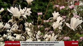 Ботанічний сад університету Франка у Львові відчиняє двері