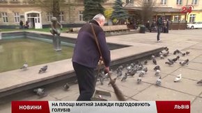 Щоб голубів у Львові поменшало, треба полагодити піддашшя будинків, - орнітолог 