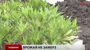 Головні новини Львова за 21.04