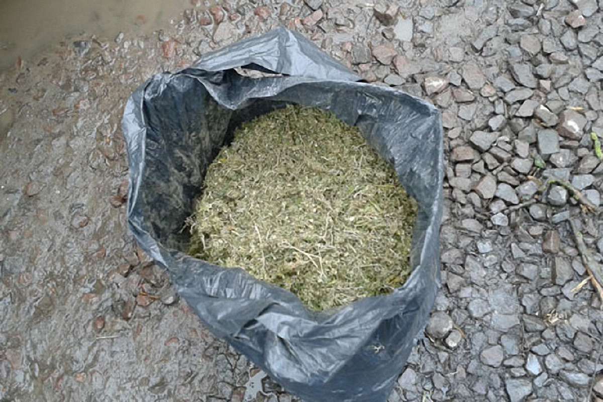 Волинянин хотів продати на Львівщині марихуани на ₴150 тис.