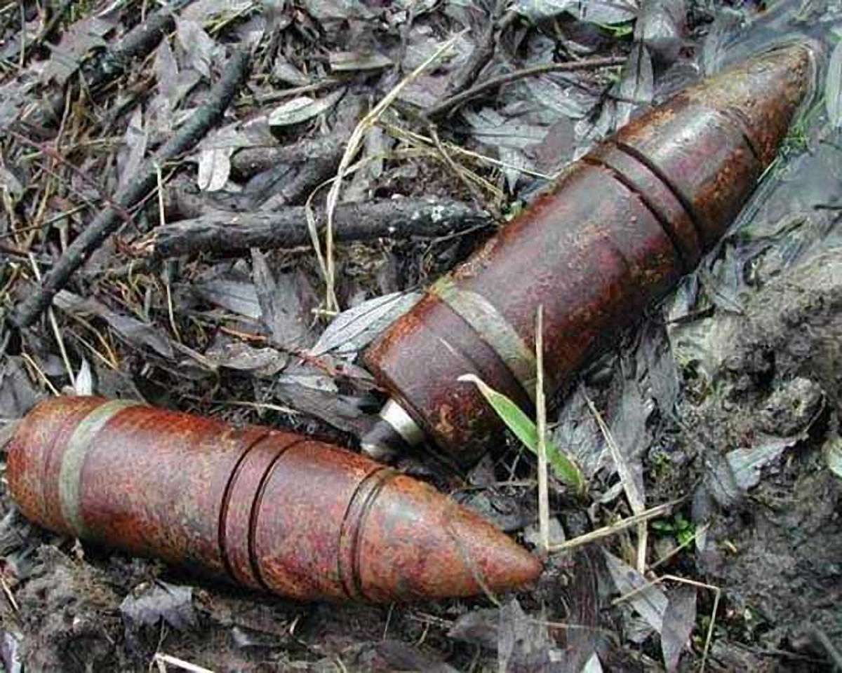 На Львівщині виявили десятки артснарядів і патронів часів Другої світової війни
