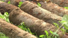 Другий день на подвір’ї львівської школи розкопують снаряди: дістали вже понад сотню