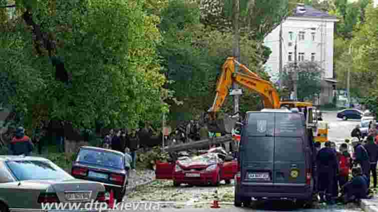 У Києві повалене вітром дерево розчавило дитину в автомобілі