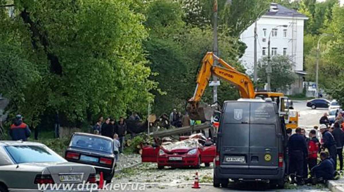 У Києві повалене вітром дерево розчавило дитину в автомобілі