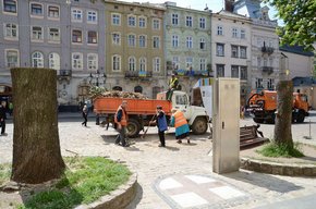На площі Ринок біля Ратуші зрізали аварійні каштани