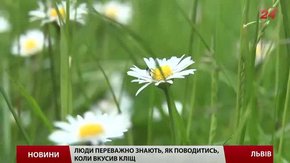 Львів'ян просять три дні не відвідувати міські парки