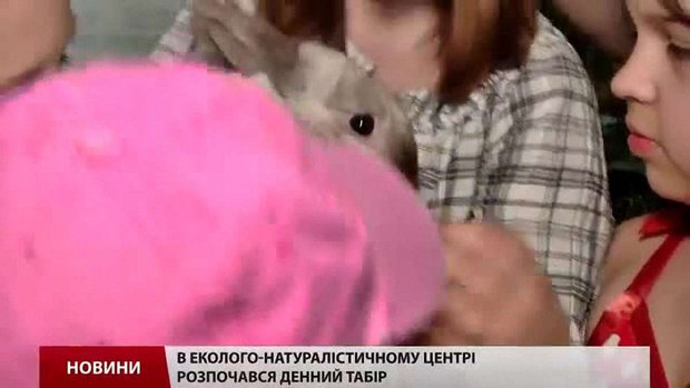 У літніх таборах і санаторіях планують оздоровити понад 126 тис. дітей із Львівщини