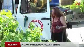 У скверику на площі Юра у Львові зрізали кілька дерев