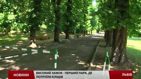 До п'ятниці у львівських парках та скверах триватиме "операція антикліщ"
